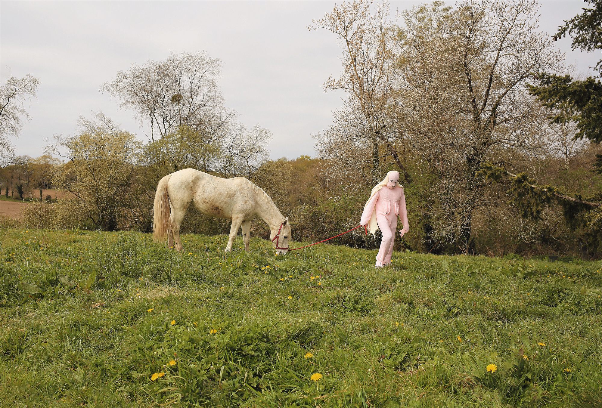 Éva Ostrowska, Prince Charming, pink knitted figure walking a white horse on a red leash in a green meadow, photographic performance